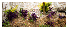 Load image into Gallery viewer, Green and purple lants on a decaying concrete wall
