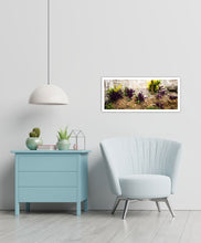 Load image into Gallery viewer, Frame with Green and purple lants on a decaying concrete wall
