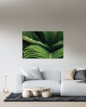 Load image into Gallery viewer, Green plant leaves with shadows
