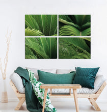 Load image into Gallery viewer, Quartet of green tropical plants in Brazil
